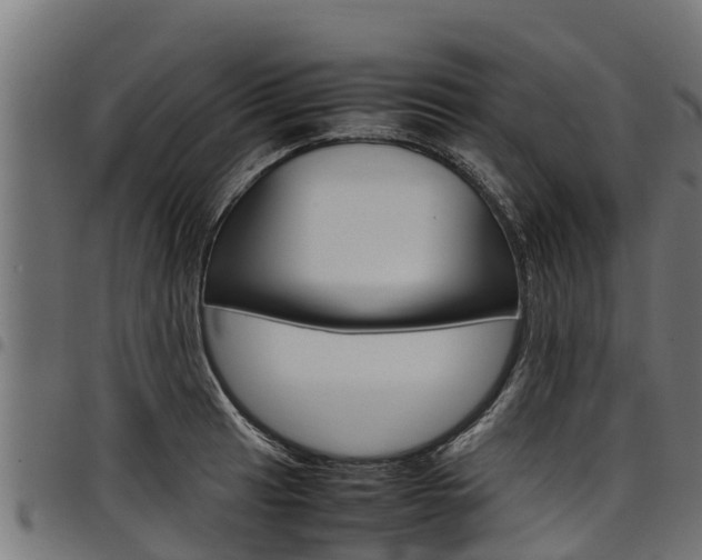 X0000098021041200803280749