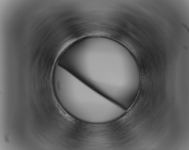X0000098021044200803280749