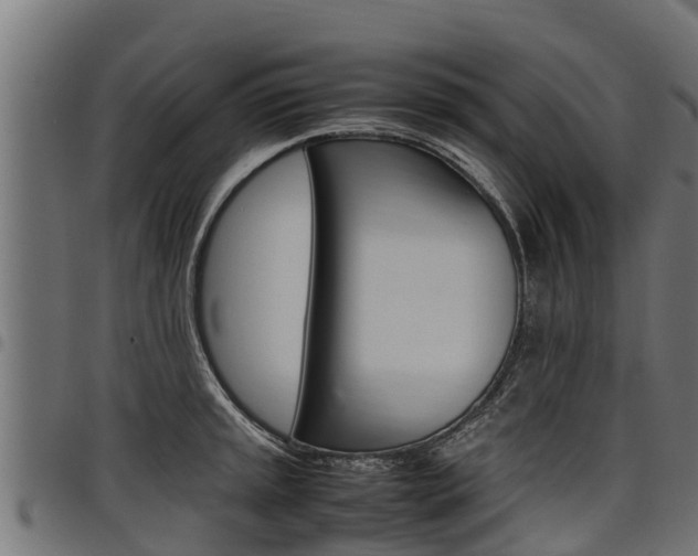 X0000098021045200803280749
