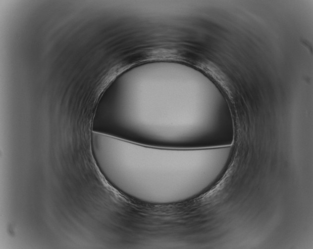 X0000098021049200803280749