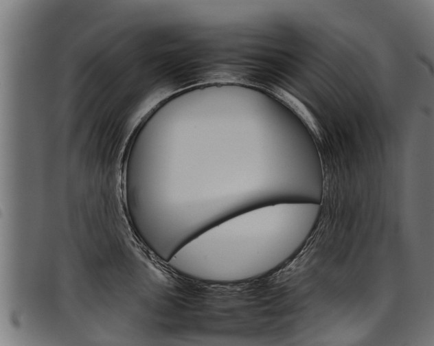 X0000098021051200803280749