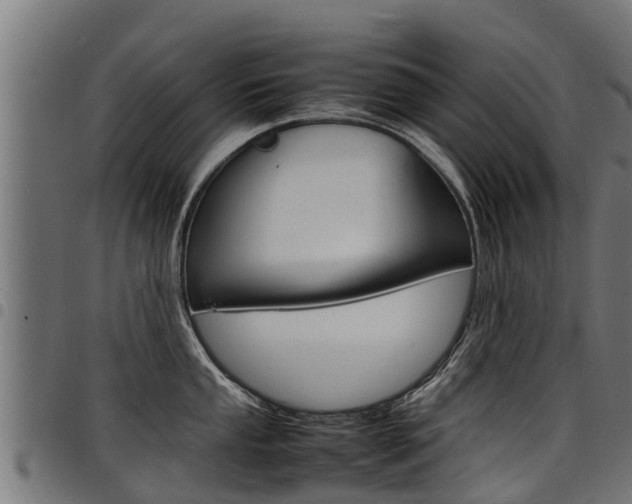 X0000098021053200803280749