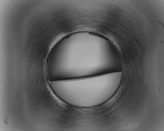X0000098021054200803280749