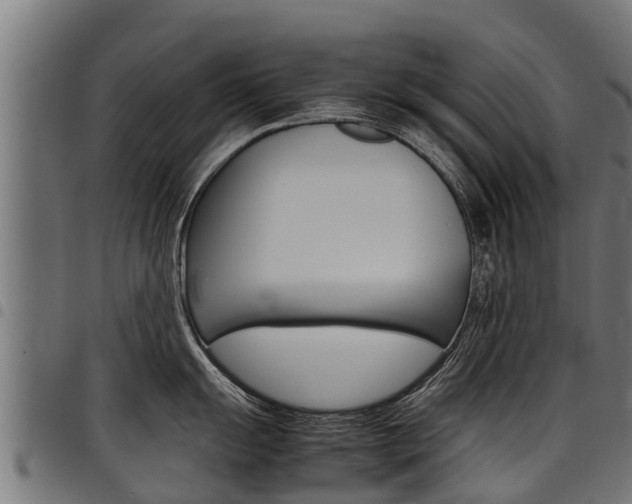 X0000098021055200803280749
