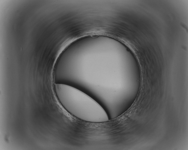 X0000098021056200803280749