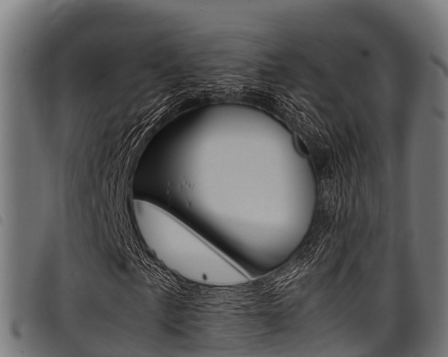 X0000098021057200803280748