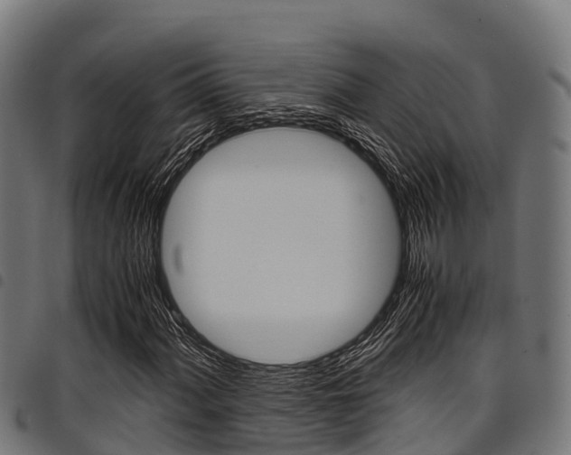 X0000098021060200803280748