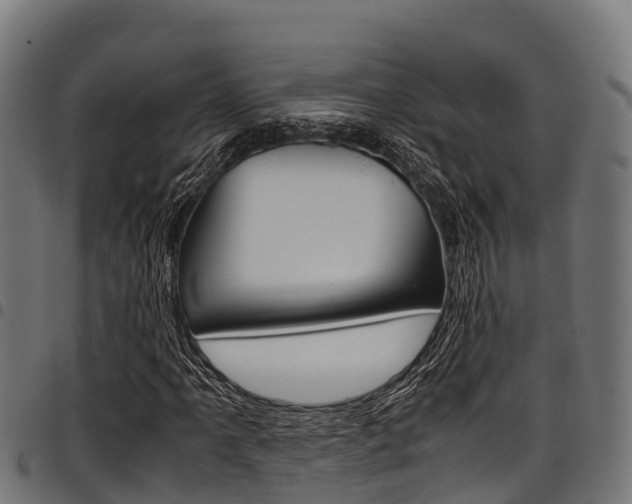 X0000098021061200803280748