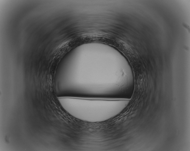 X0000098021062200803280748
