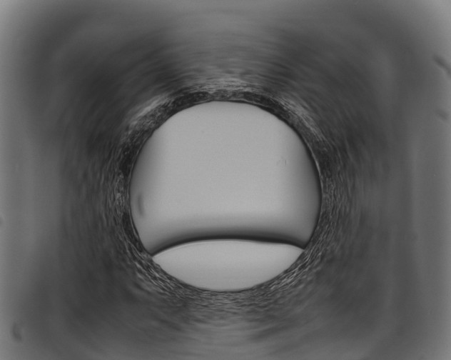 X0000098021063200803280748