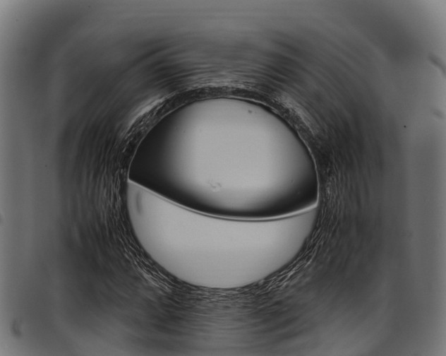 X0000098021064200803280748