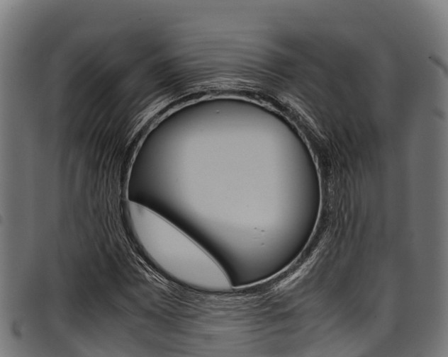 X0000098021065200803280748