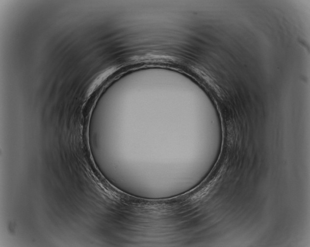 X0000098021066200803280748