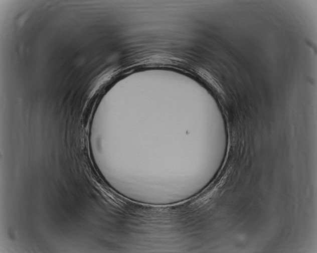 X0000098021067200803280748