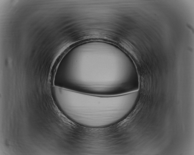 X0000098021068200803280748