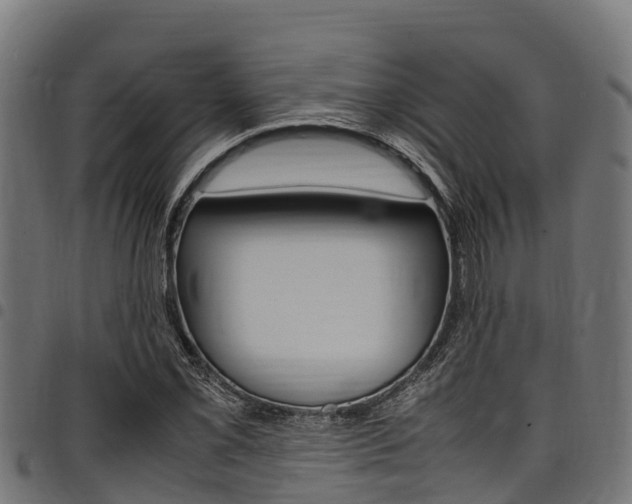 X0000098021069200803280748