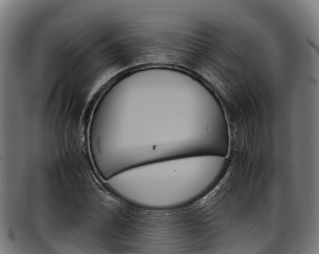 X0000098021070200803280748