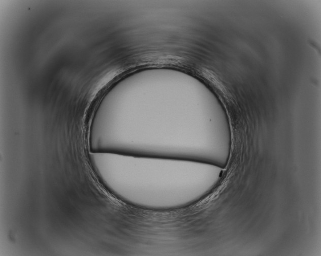 X0000098021071200803280748