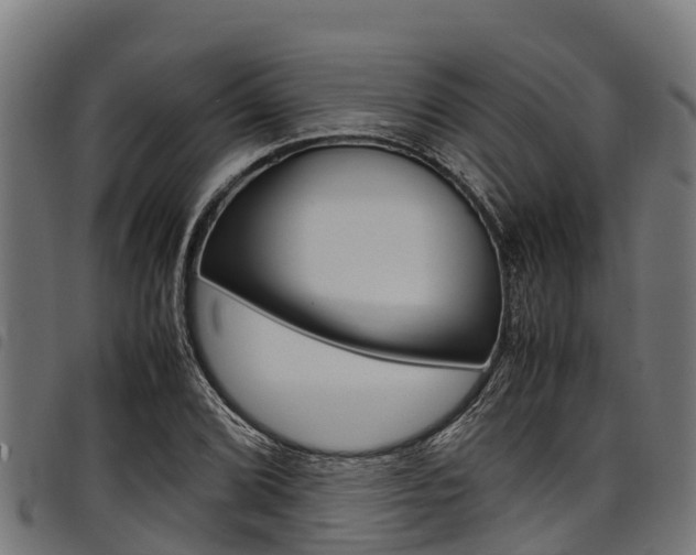 X0000098021072200803280748