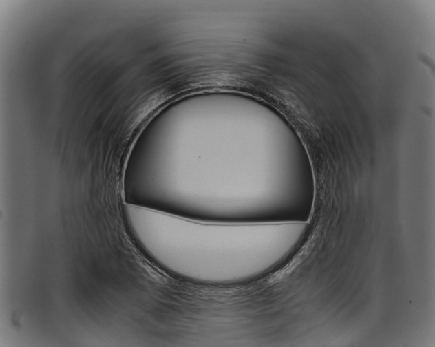 X0000098021073200803280748