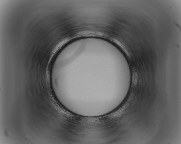 X0000098021074200803280748