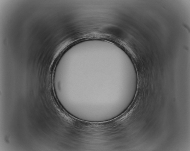 X0000098021075200803280748