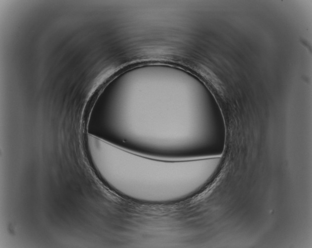 X0000098021077200803280748
