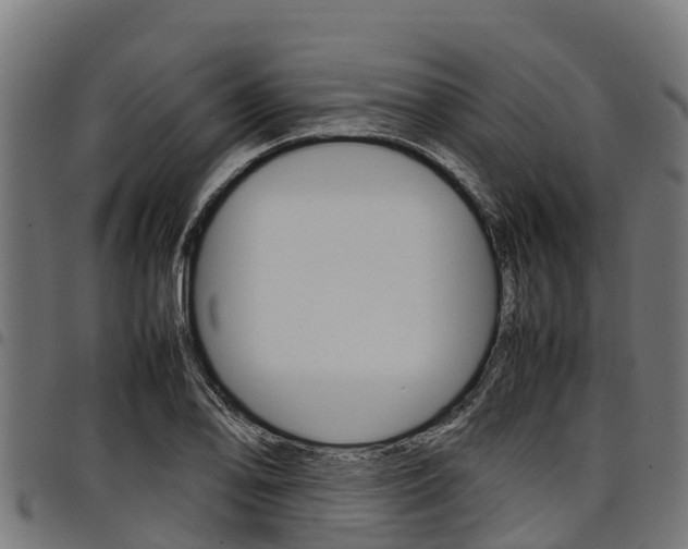 X0000098021078200803280748