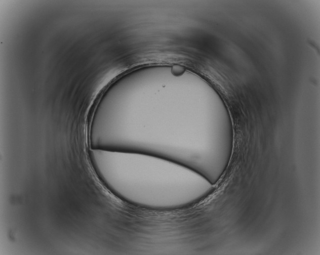 X0000098021079200803280748