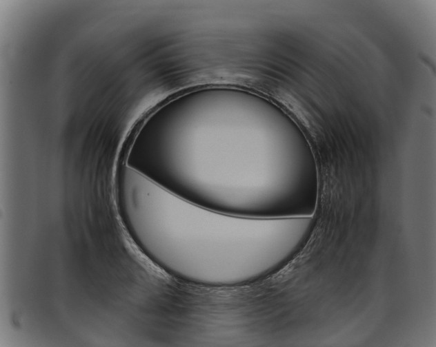 X0000098021080200803280748
