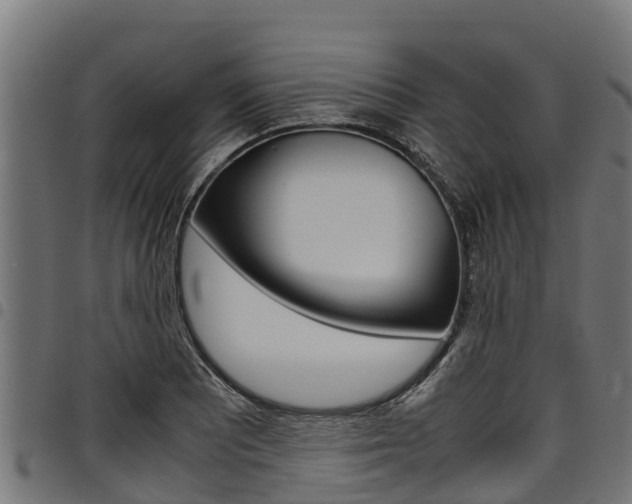 X0000098021081200803280748