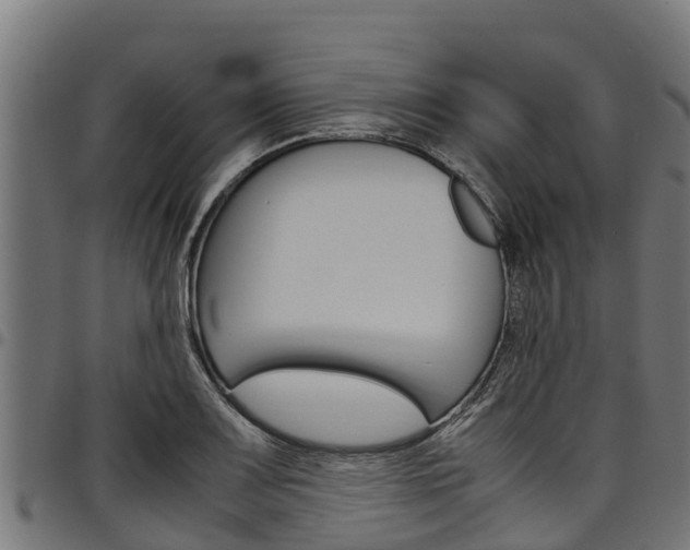X0000098021083200803280748