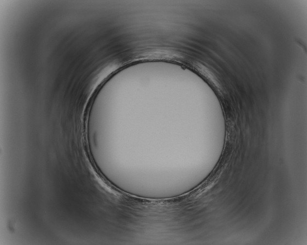 X0000098021087200803280748
