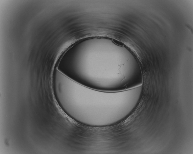 X0000098021088200803280748