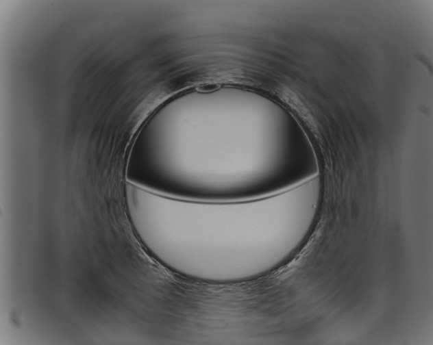X0000098021089200803280748