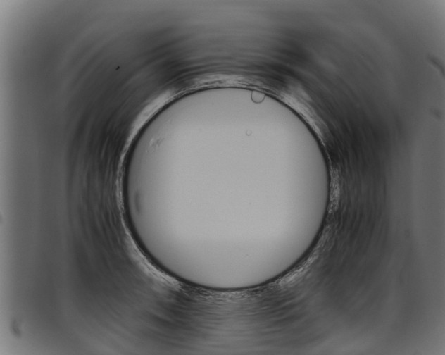 X0000098021090200803280748