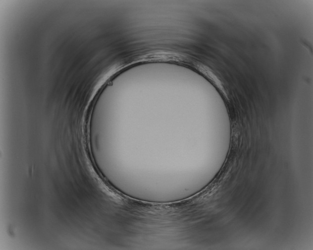 X0000098021091200803280748