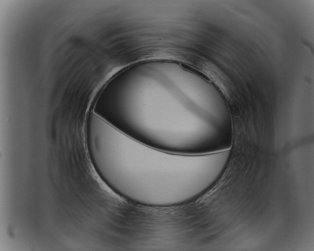 X0000098021092200803280748