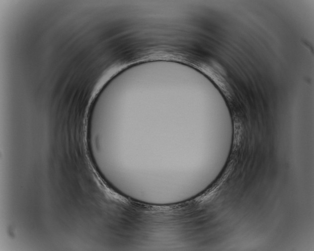 X0000098021094200803280748