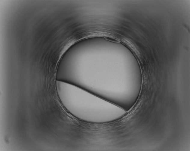 X0000098021097200803280748