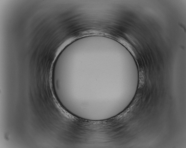 X0000098021098200803280748