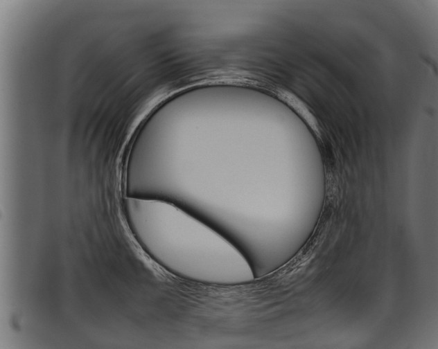 X0000098021099200803280748