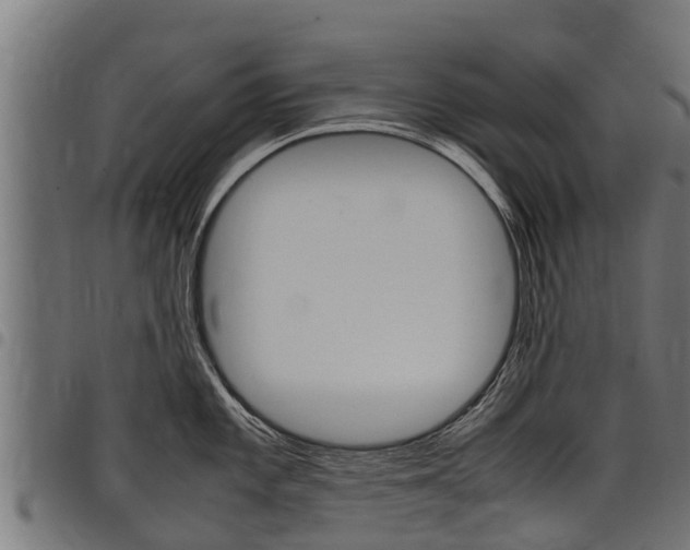 X0000098021101200803280748