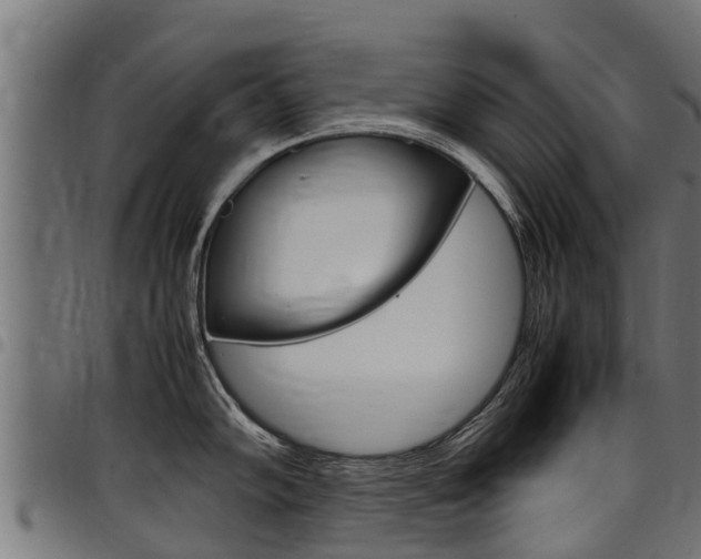 X0000098021102200803280748