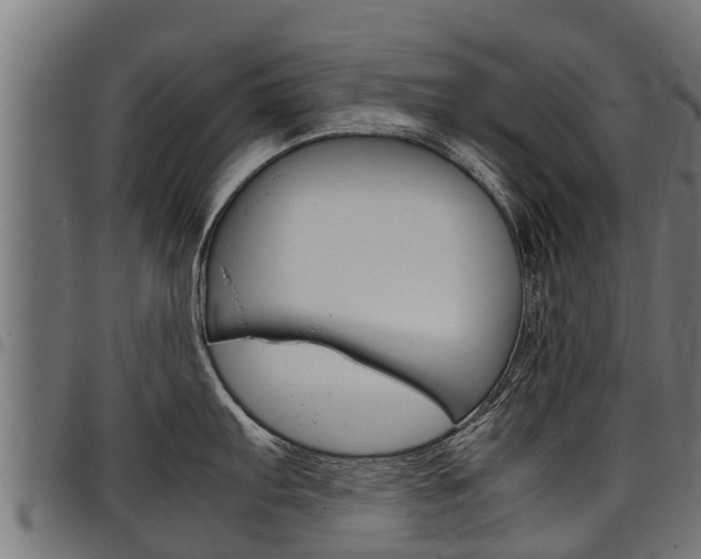 X0000098021103200803280748