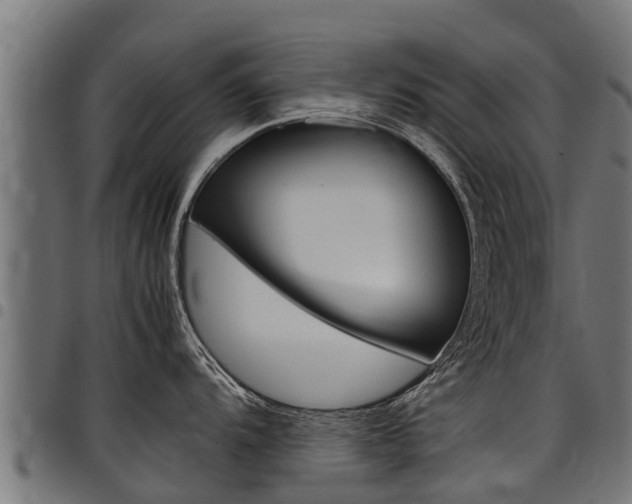 X0000098021104200803280748