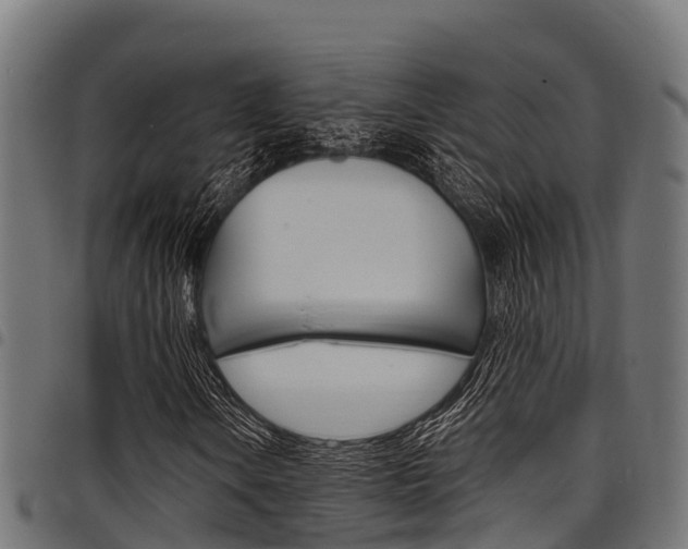 X0000098021106200803280747
