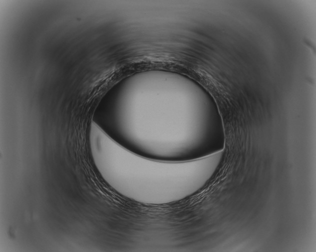 X0000098021110200803280747