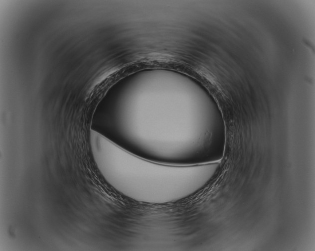 X0000098021112200803280747