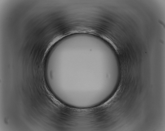 X0000098021114200803280747